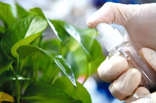 紅外光控釋農(nóng)藥研發(fā)取得重要進(jìn)展，生物農(nóng)藥技術(shù)迎來新突破